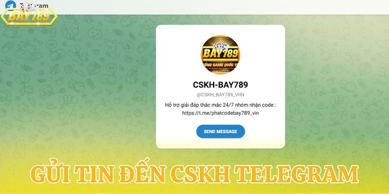 CSKH Telegram - Hỗ trợ 1:1 nhanh chóng, hoạt động 24/7