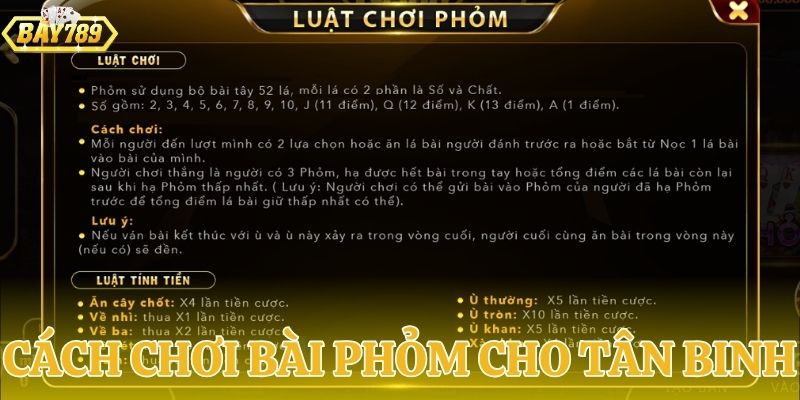 Hướng dẫn chơi bài phỏm chi tiết dễ hiểu cho tân thủ