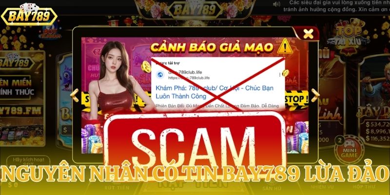 Nguyên nhân xuất hiện tin đồn BAY789 lừa đảo